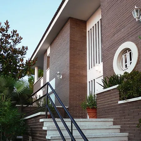 Hhbcn Dorada فيلة كونيت